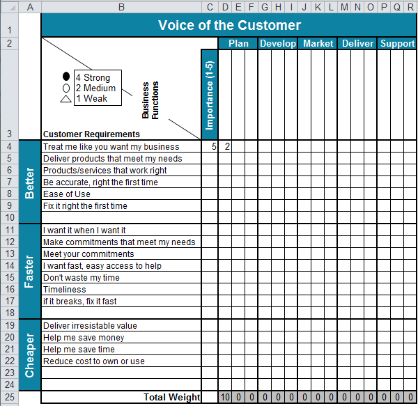Voice of the Customer Matrix in Excel VOC Template QI Macros